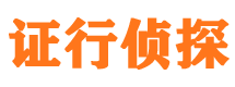 大关市侦探调查公司